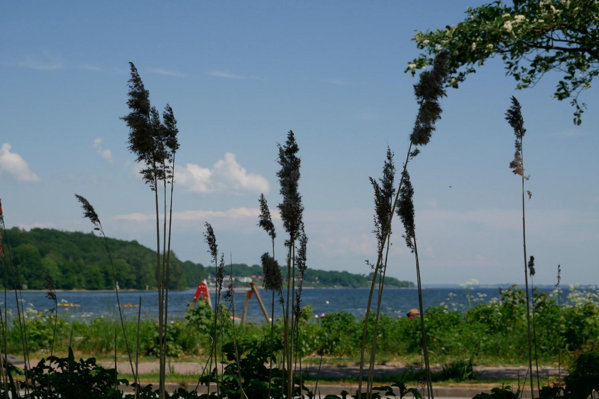 Ostsee, Wunderschoene Wohnung Mit Meerblick Harrislee Ngoại thất bức ảnh